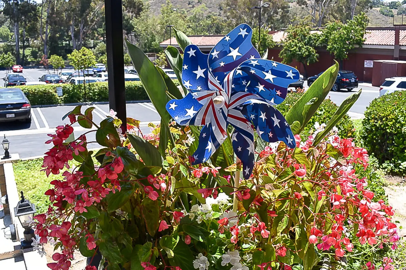 UNADJUSTEDNONRAW_thumb_675f